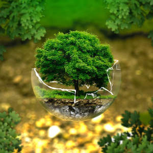 environmental-protection300x300